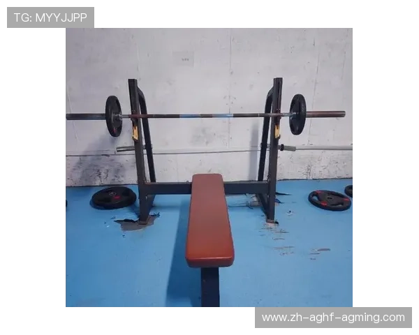 网上健身器材商城哪家好？主流平台评测与选购建议