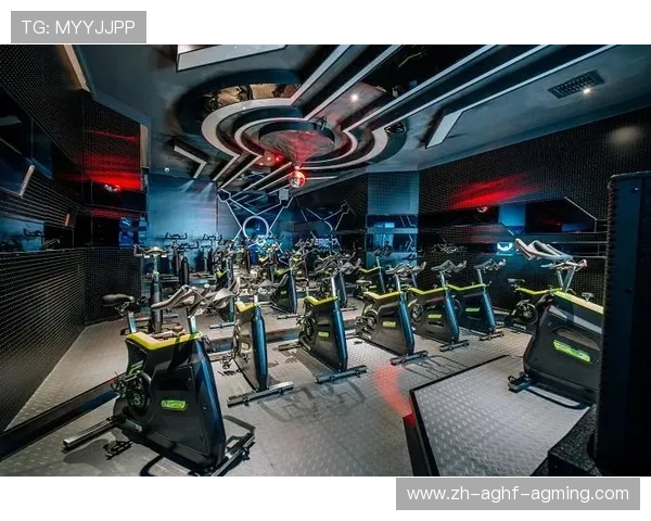 赛普健身器材：赛普品牌的产品特色与市场表现